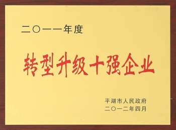 轉(zhuǎn)型升級十強(qiáng)企業(yè)
